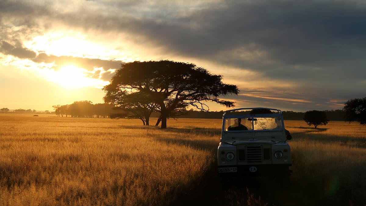 The Serengeti Rules, una historia científica jamás contada.