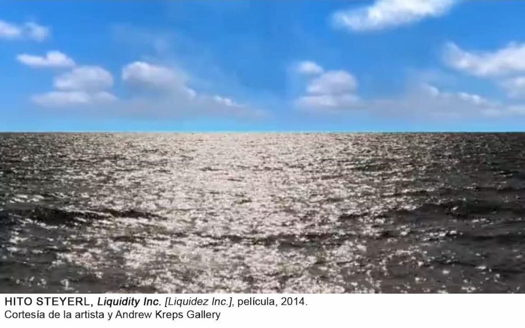 Hito Steyerl