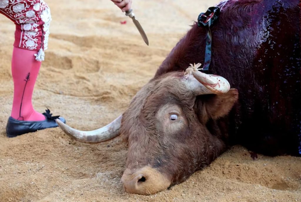 tauromaquia