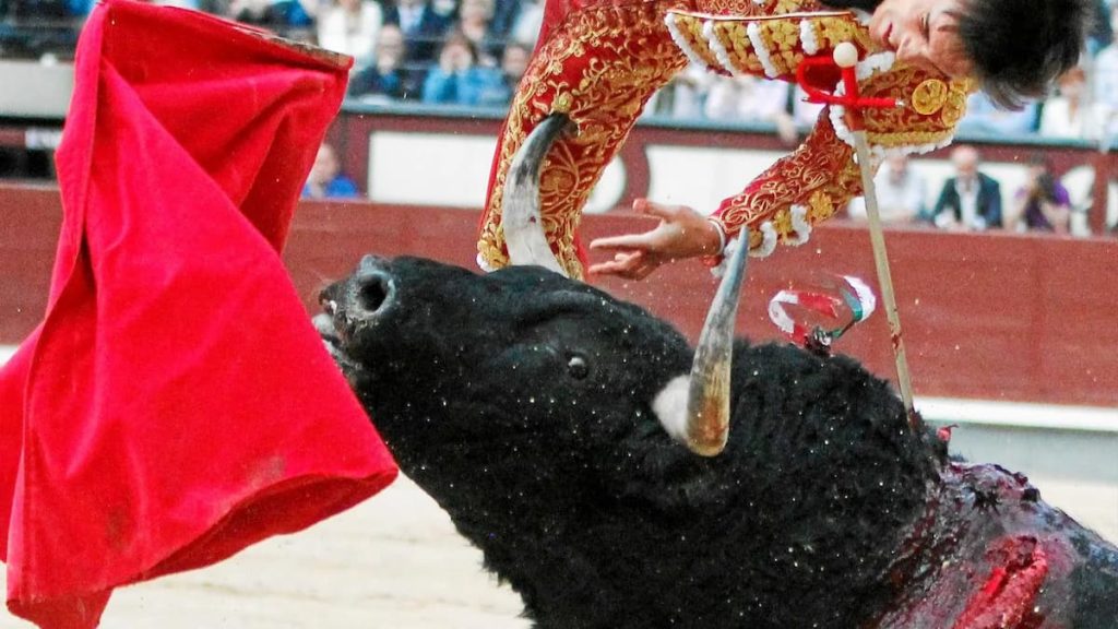 tauromaquia