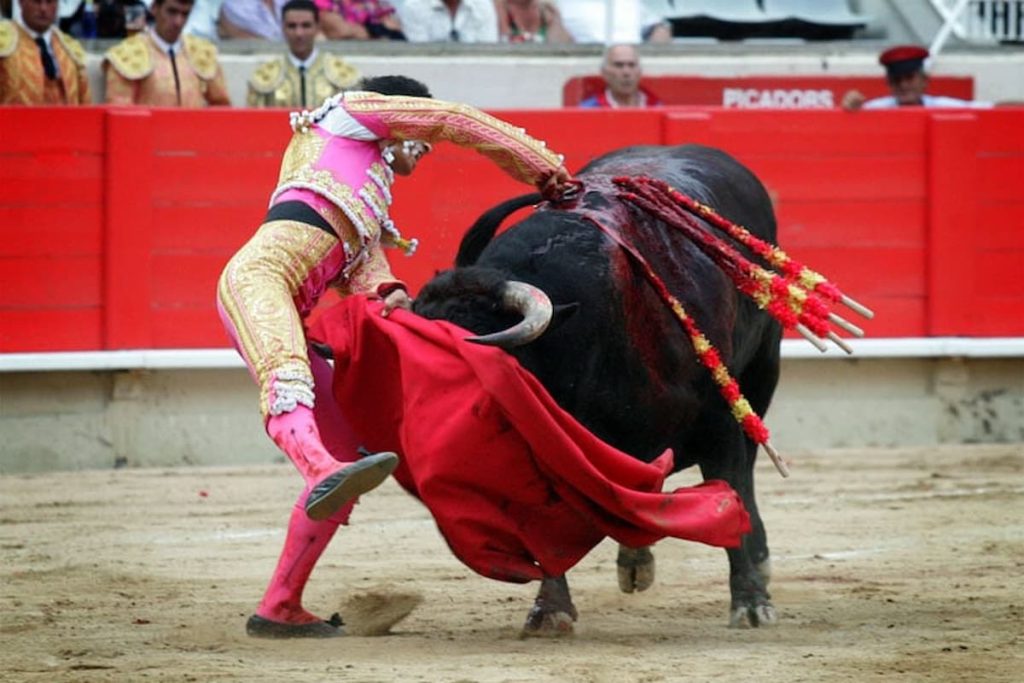 tauromaquia