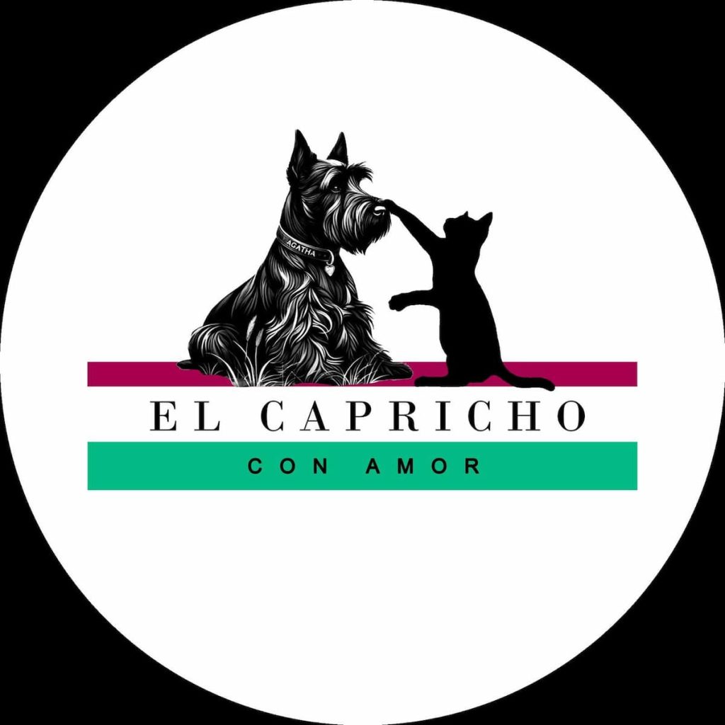 el capricho boutique
