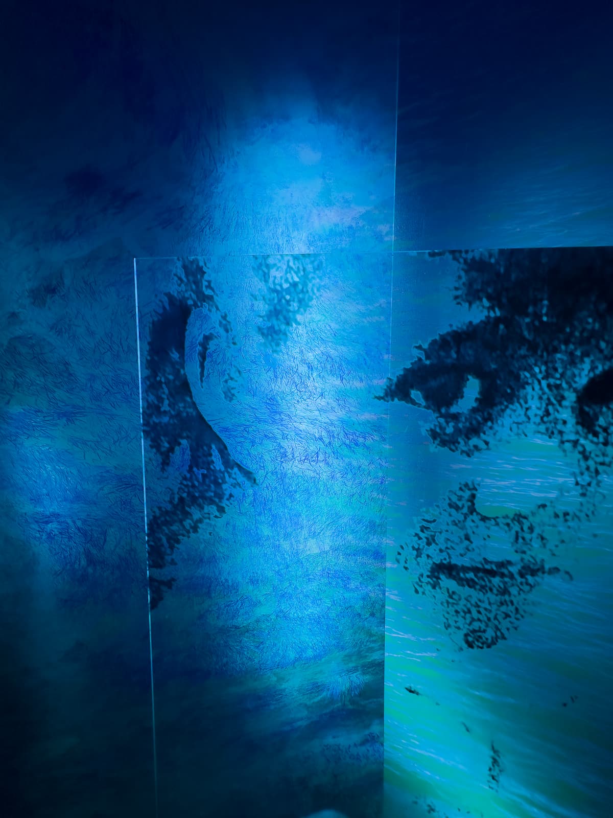 La exposición “La casa del agua” reconstruye el paisaje a través de la arquitectura de la memoria