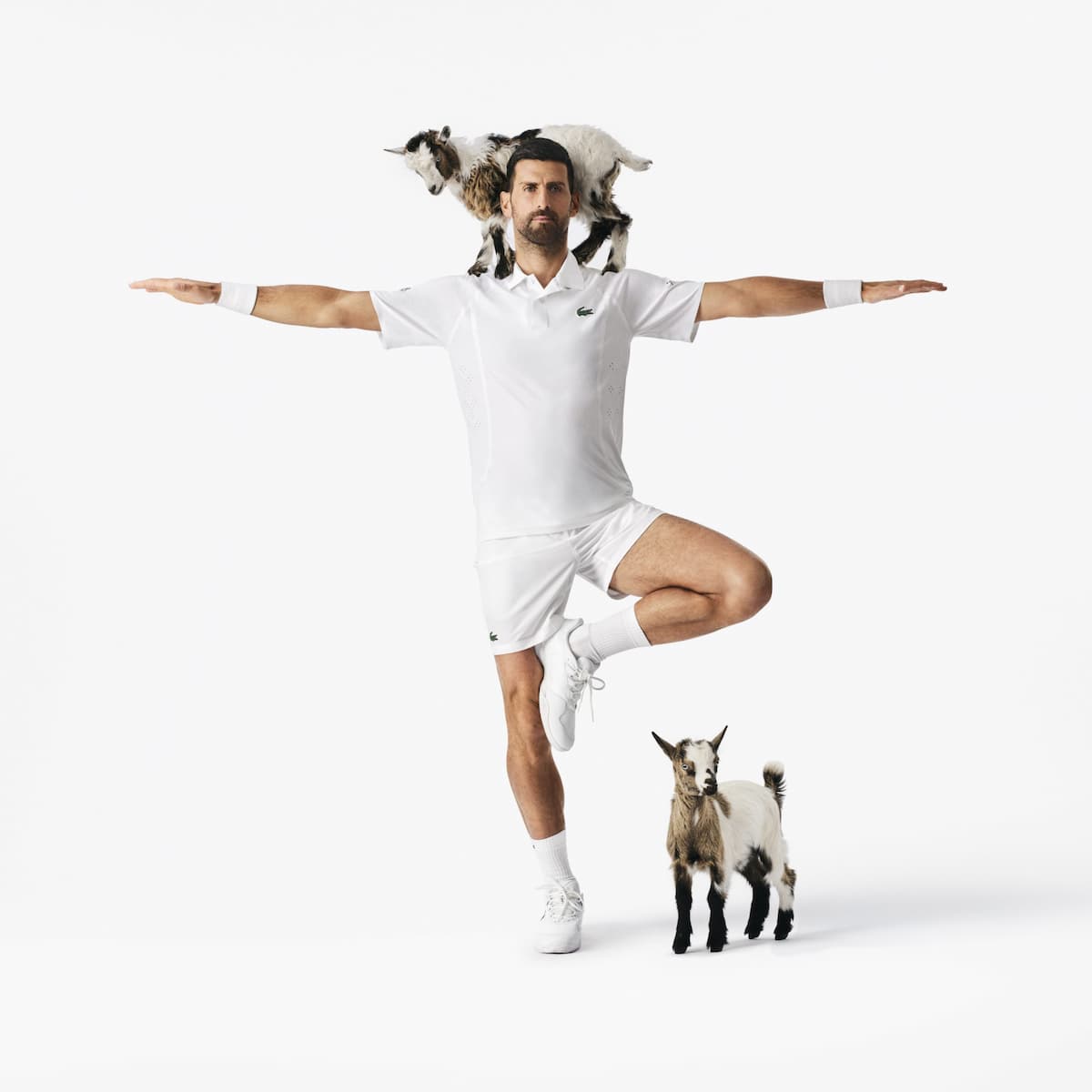 Lacoste celebra la leyenda de Novak Djokovic con una nueva colección cápsula