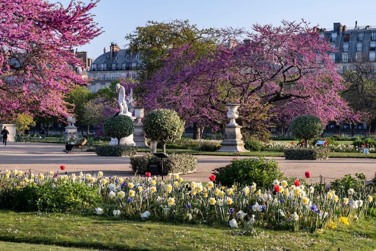 El Jardín de las Tullerías reúne patrimonio, diseño y memoria olímpica durante el verano parisino