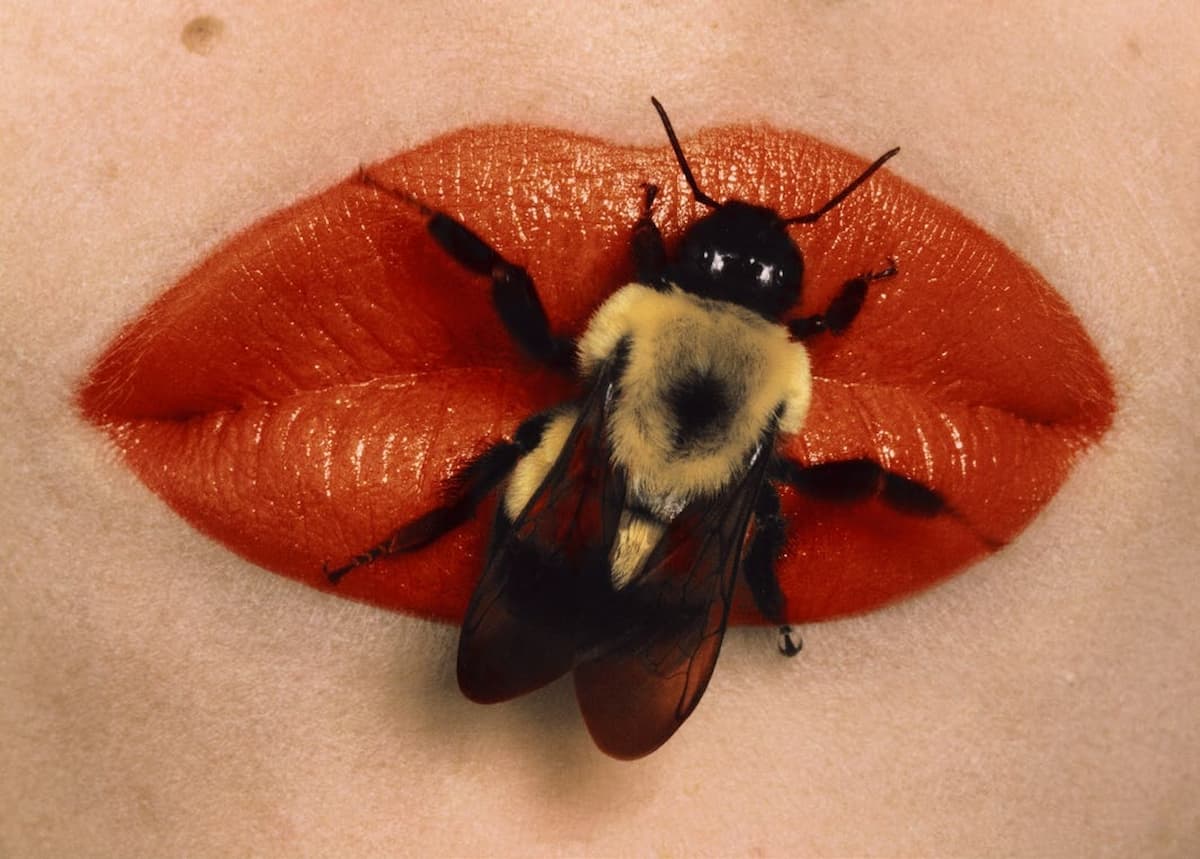 La Maison Européenne de la Photographie celebra su 30.º aniversario de la mano de Irving Penn